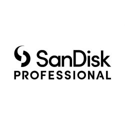 4. Sandisk Professional